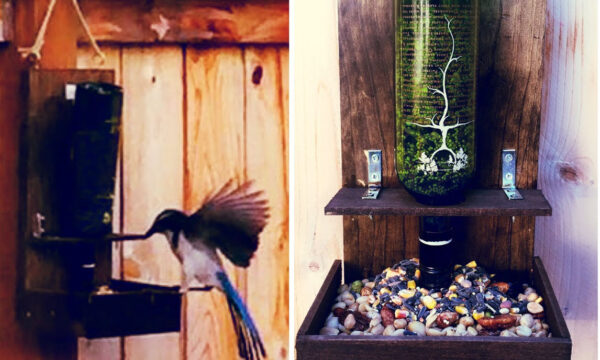 Woodwork-BiedFeeder