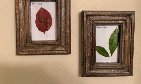Woodwork-Frame